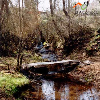 ruta-la-barca-de-villaflor Con esta ruta se ha buscado la propia imagen del agua, del embalse, que condicionó las vidas de estas gentes.