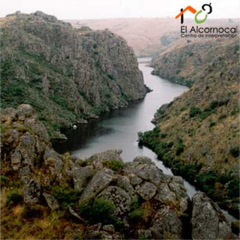 ruta-los-arribanzos-del-esla